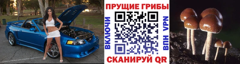 Галлюциногенные грибы ЛСД наркота Злынка